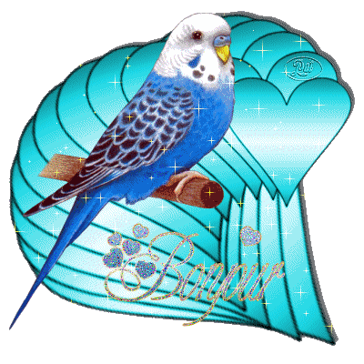 Bonjour tout le monde